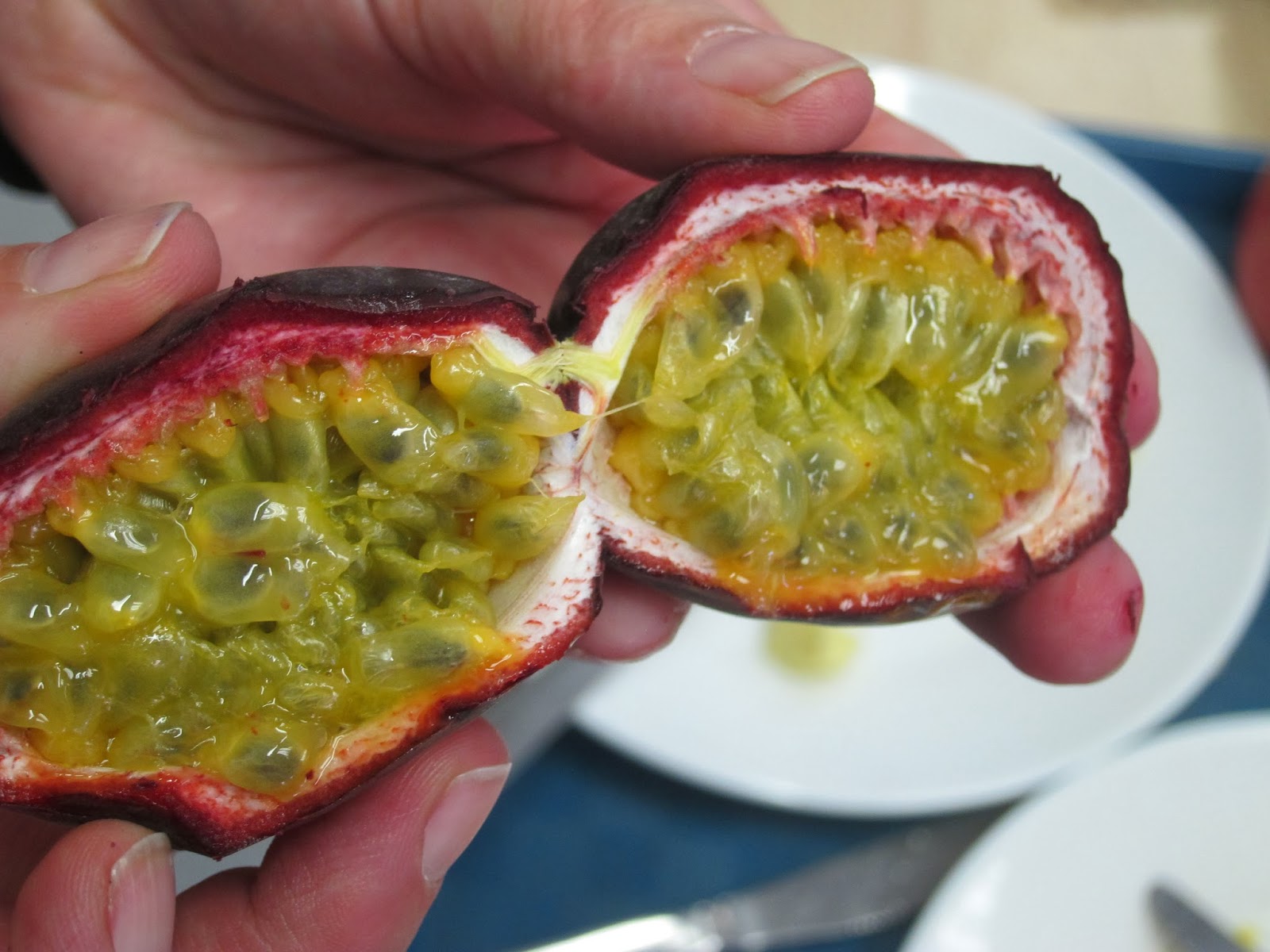 MFR Percy - Le Blog: A la découverte du fruit exotique