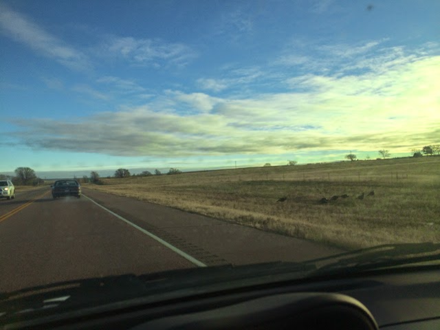 Xcountry Moving cause for traffic