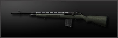 M14.jpg