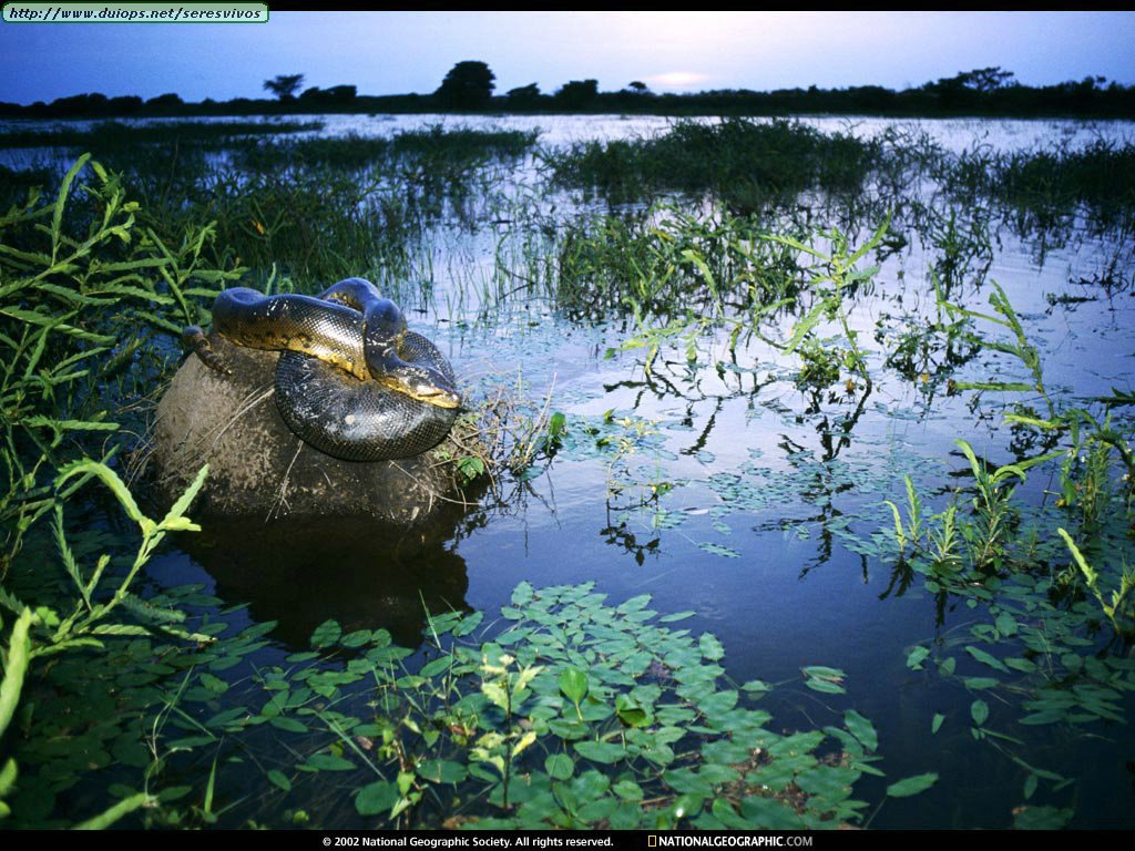 http://4.bp.blogspot.com/-K_8puNZNuzk/T5bvArzvRVI/AAAAAAAAB_A/tKFuRT4OLuA/s1600/Wallpapers%2B-%2BPaisajes%2Bby%2BAlms!!%2B(296).jpg