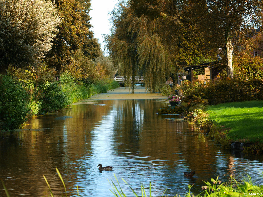 Habemus Papam Trailer Italiano - YouTube