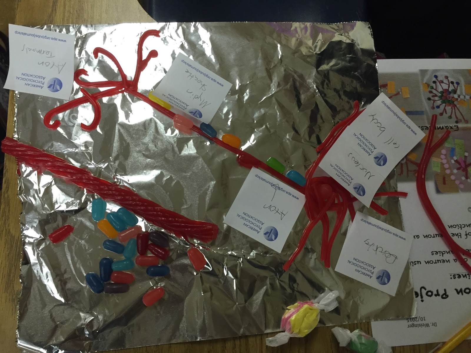 BD PSYCHOLOGY CLASS 20152016 Candy Neuron Project