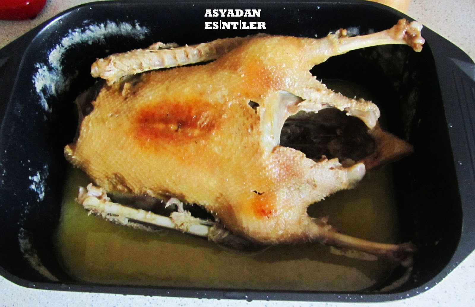 asyadan esintiler Kaz, Kaz Nasıl Pişirilir, Kaz Tarifi, Kaz Suyuna