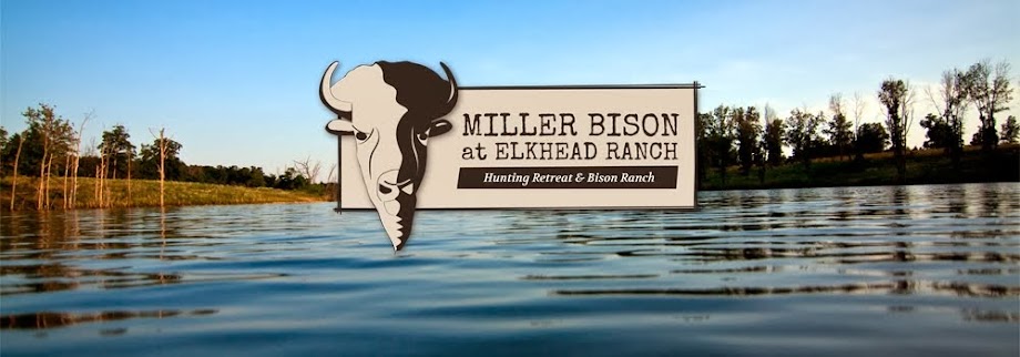 Life on a Bison Ranch & Hunting Retreat