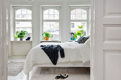 Decorar con plantas las repisas