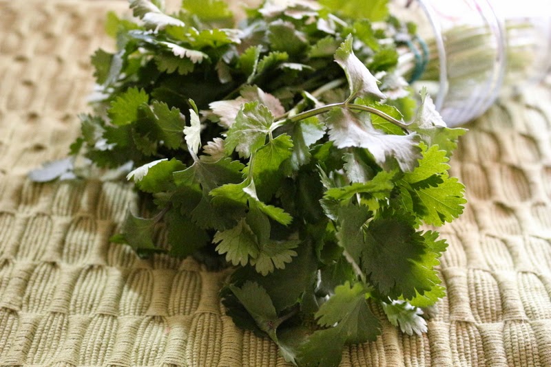 Recipe of Peanut Coriander Chutney How to Make Peanut Coriander