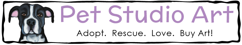 The Pet Studio