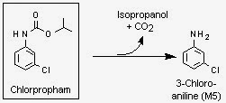 Reacción de hidrólisis del clorprofam en entornos alcalinos a 3-cloroanilina alcaline hydrolysis chlorpropham isopropanol carbon dioxyde m-chloroaniline 3-chloroaniline m-cloroanilina reaction