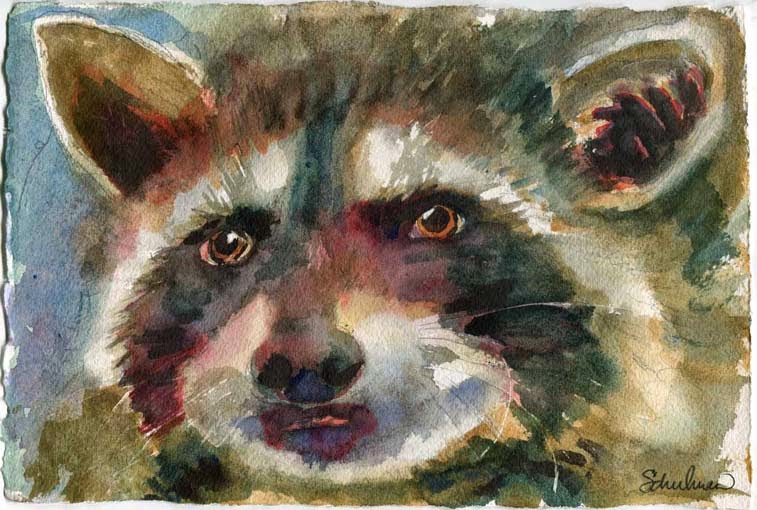 raccoon by miriam schulman https://www.etsy.com/listing/212572104/animal-art-original-watercolor-painting
