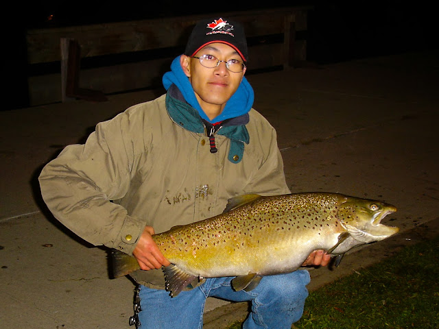 [Image: Brown_Trout_29.5in_Nov_2005_post.jpg]