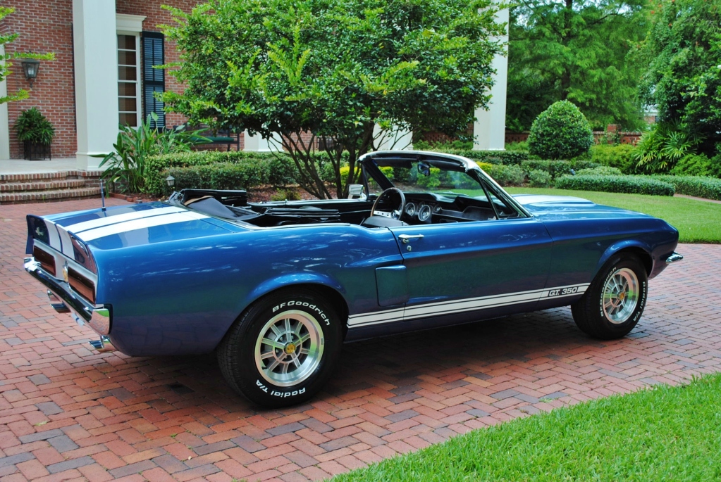 Ford shelby gt 350 convertible #7
