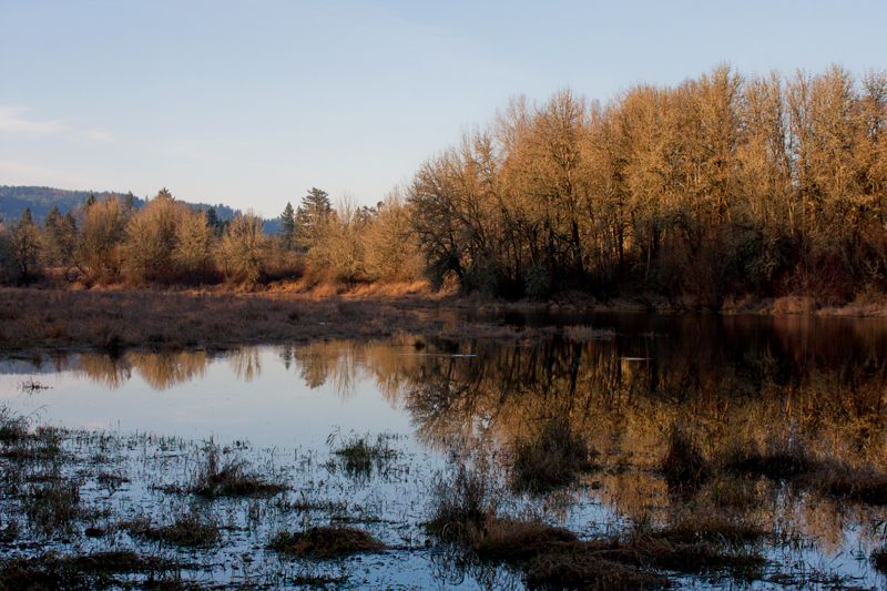 Great Big Open Road Sauvie Island, Oregon...