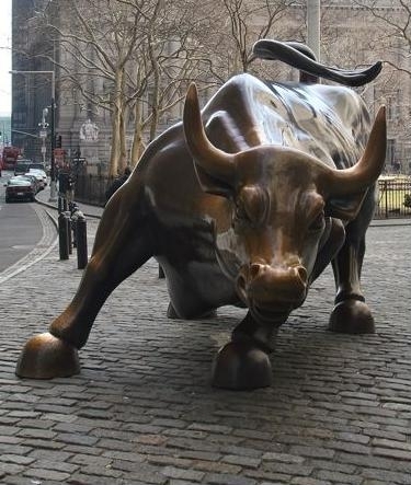 Bull Front