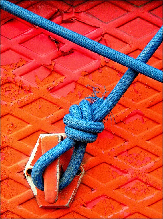 Compact Camera, Best Photo of the Day in Emphoka by Silvio Brancaleon, Nikon Coolpix P50, https://flic.kr/p/dwhcZJ Compact Camera, Best Photo of the Day in Emphoka by Silvio Brancaleon, Nikon Coolpix P50, https://flic.kr/p/dwhcZJ