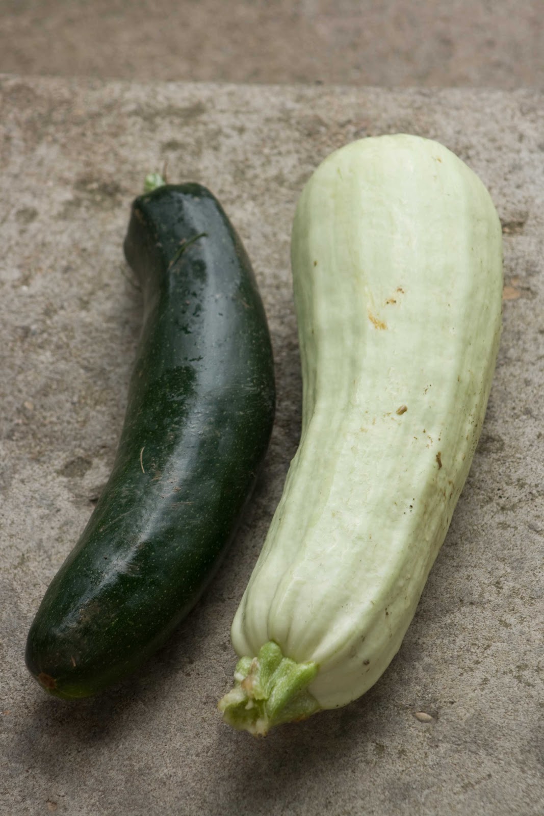 the latest Light Green Zucchini
