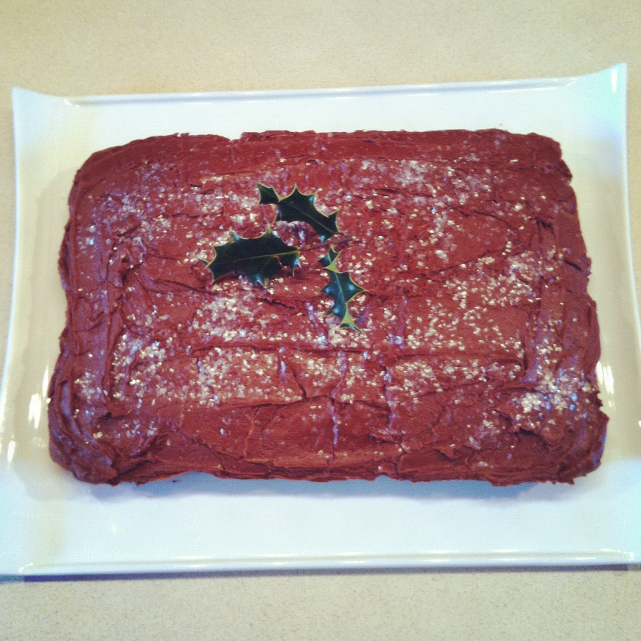 The Student Chef -: Mary Berry Iced Chocolate Traybake - Merry Christmas