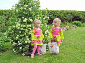 Twins. Stock Photo Credit: Herzz Twins. Stock Photo Credit: Herzz
