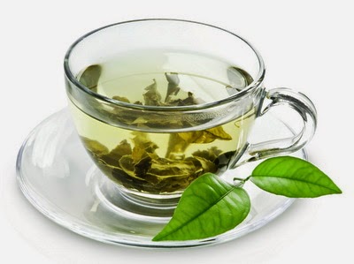  Ceaiuri din plante  Camellia_sinensis+ceai