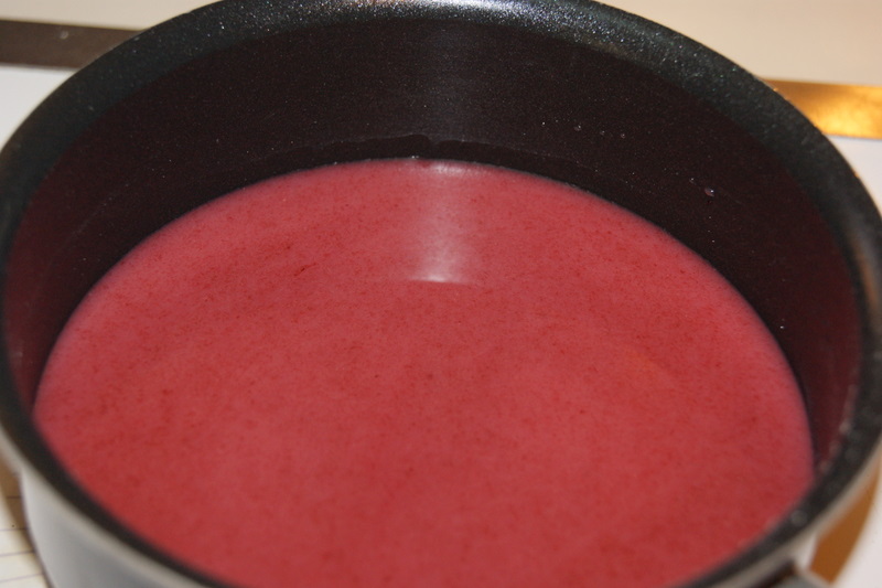 Raising Leafs Tasty Tuesday Buttermilk Pancakes and FruitFlavored Syrup