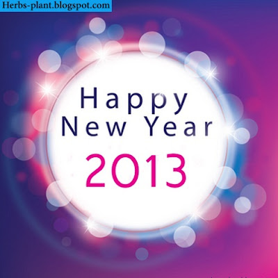 سنة سعيدة 2013 - New year 2013 سنة سعيدة 2013 - New year 2013