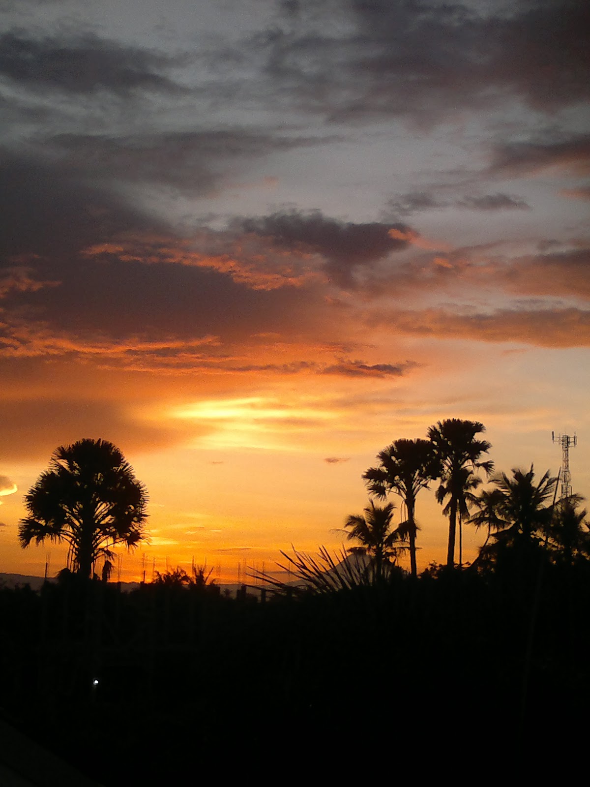 Firefly: Fajar di Pagi Hari