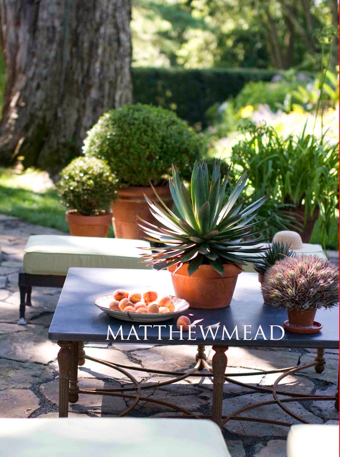 The Arts by Karena Matthew Mead's Backyard Style