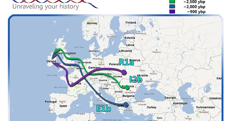 ancestors the genetic source thesis The genetic evidence shows that three quarters of our ancestors came to this gene pool from the same early basque source as the irish, welsh and scots. ancestors the genetic source thesis The genetic evidence shows that three quarters of our ancestors came to this gene pool from the same early basque source as the irish, welsh and scots.