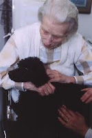 Volunteer therapy dog community service