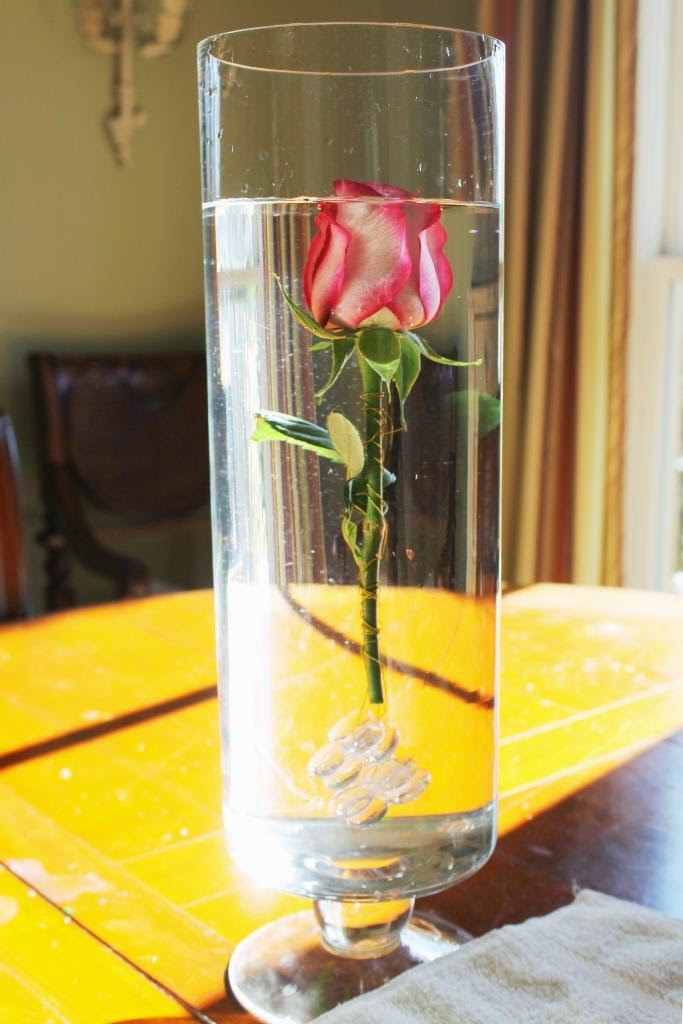 How To Submerge Flowers Miss Kopy Kat