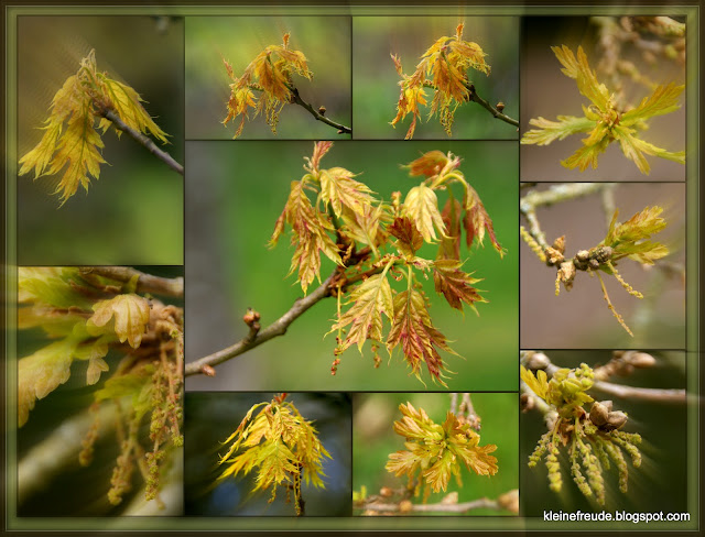 kleine freude: Mai 2012