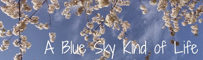 A Blue Sky Kind of Life