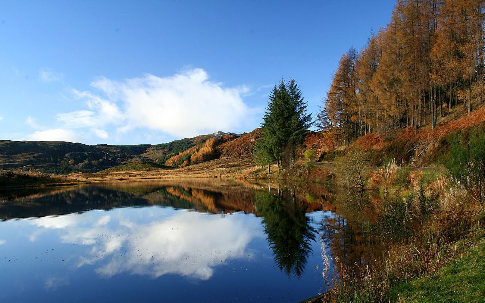 http://4.bp.blogspot.com/-KexhQH39Pr8/Tygj361uLoI/AAAAAAAAKM4/Rd_9o5DNI3E/s1600/Nature%2BWallpapers%2B%2B%252882%2529.jpg