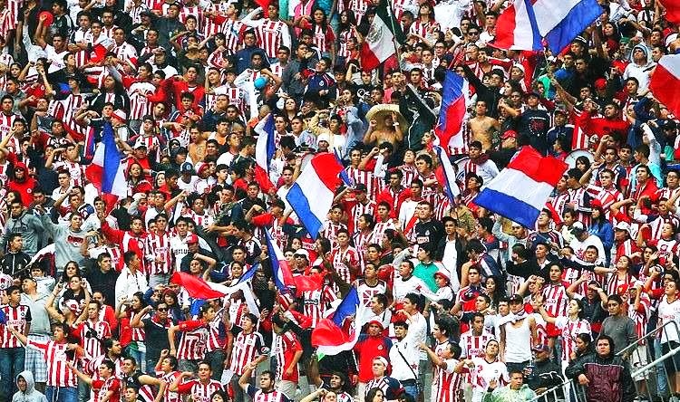 LA BARRA DE CHIVAS la barra de chivas: