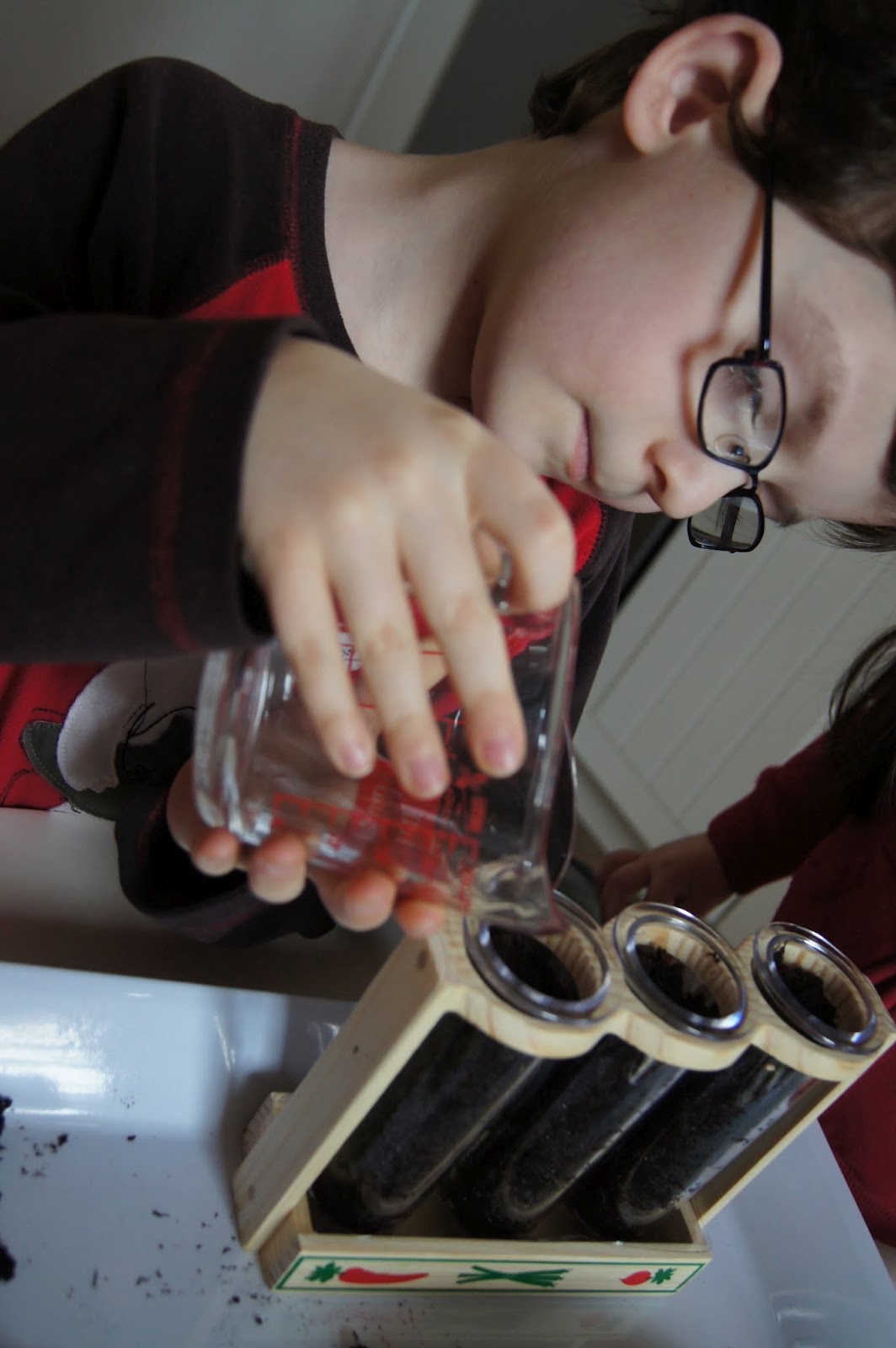 Botany 1 Montessori Botany Puzzle Work "Making Montessori Ours"