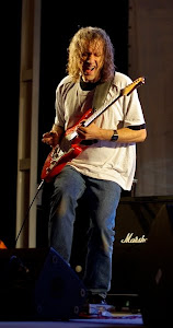 Scott Henderson / guitar