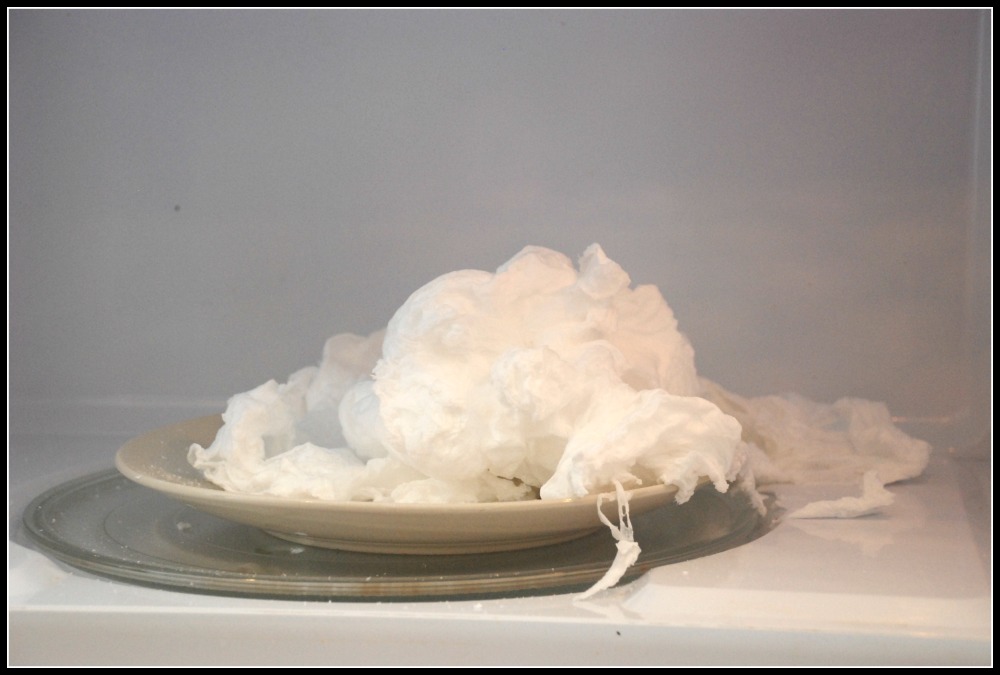 Homemade Serenity Science with Kids Microwave Ivory Soap