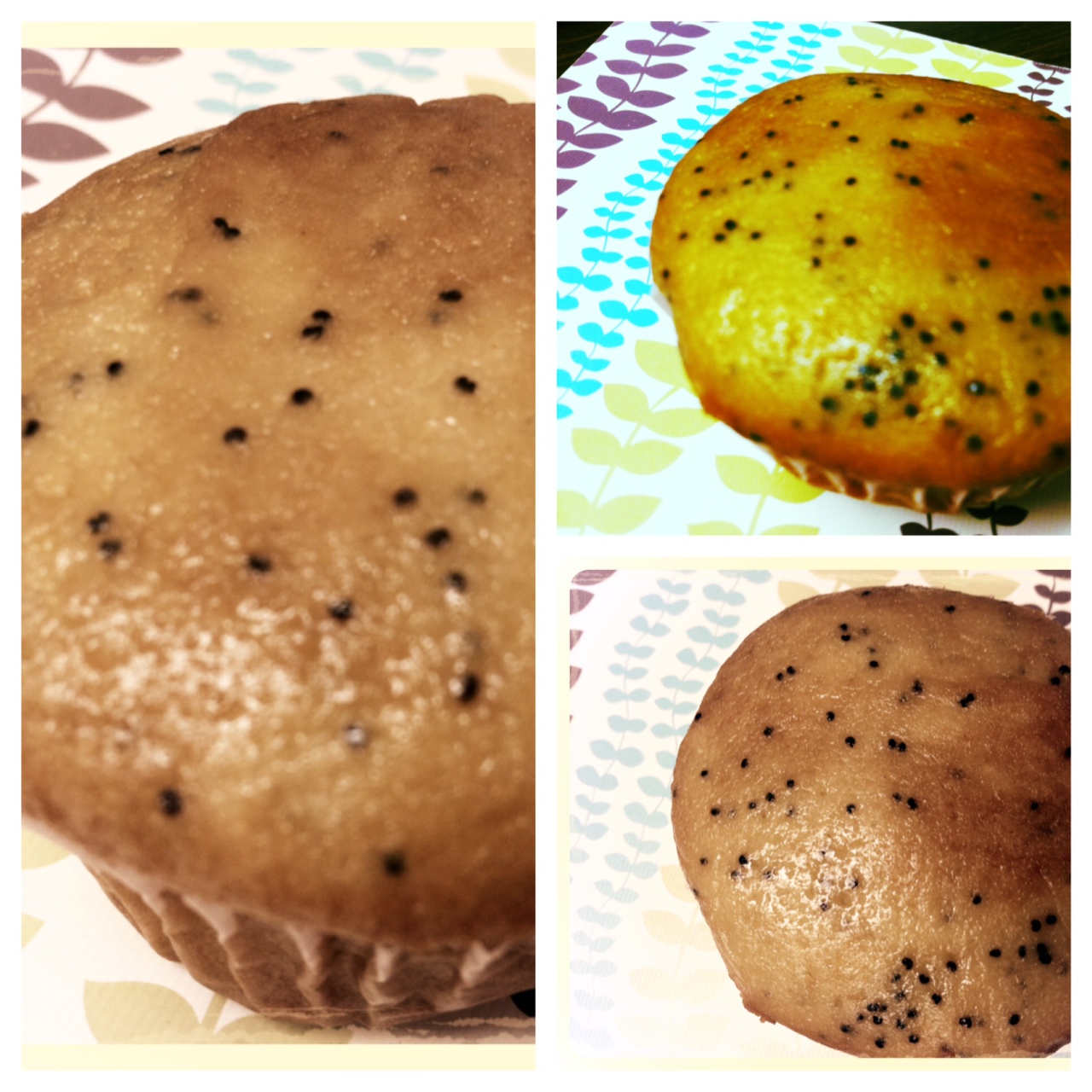 The Things I'm Learning Easy Poppy Seed Bread