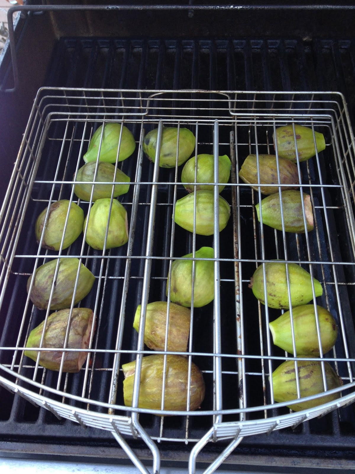 UrbanTerra Fig Season