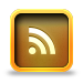 rss icon