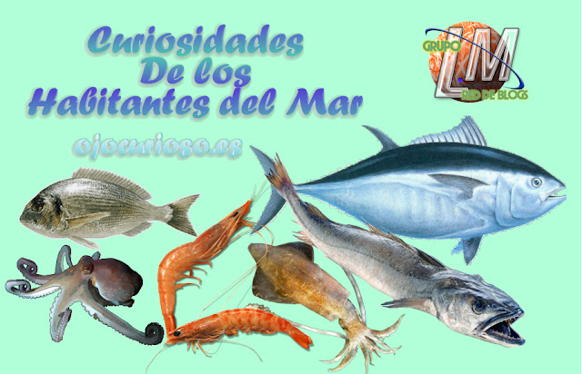 Curiosidades de los habitantes del mar Curiosidades de los habitantes del mar