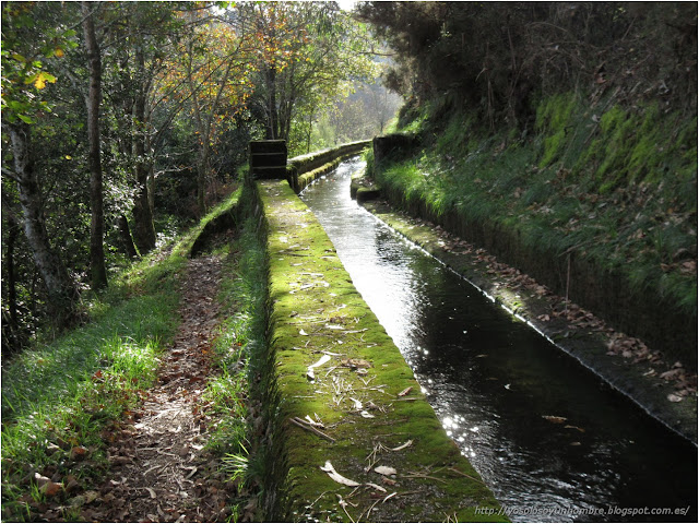 más canal más canal
