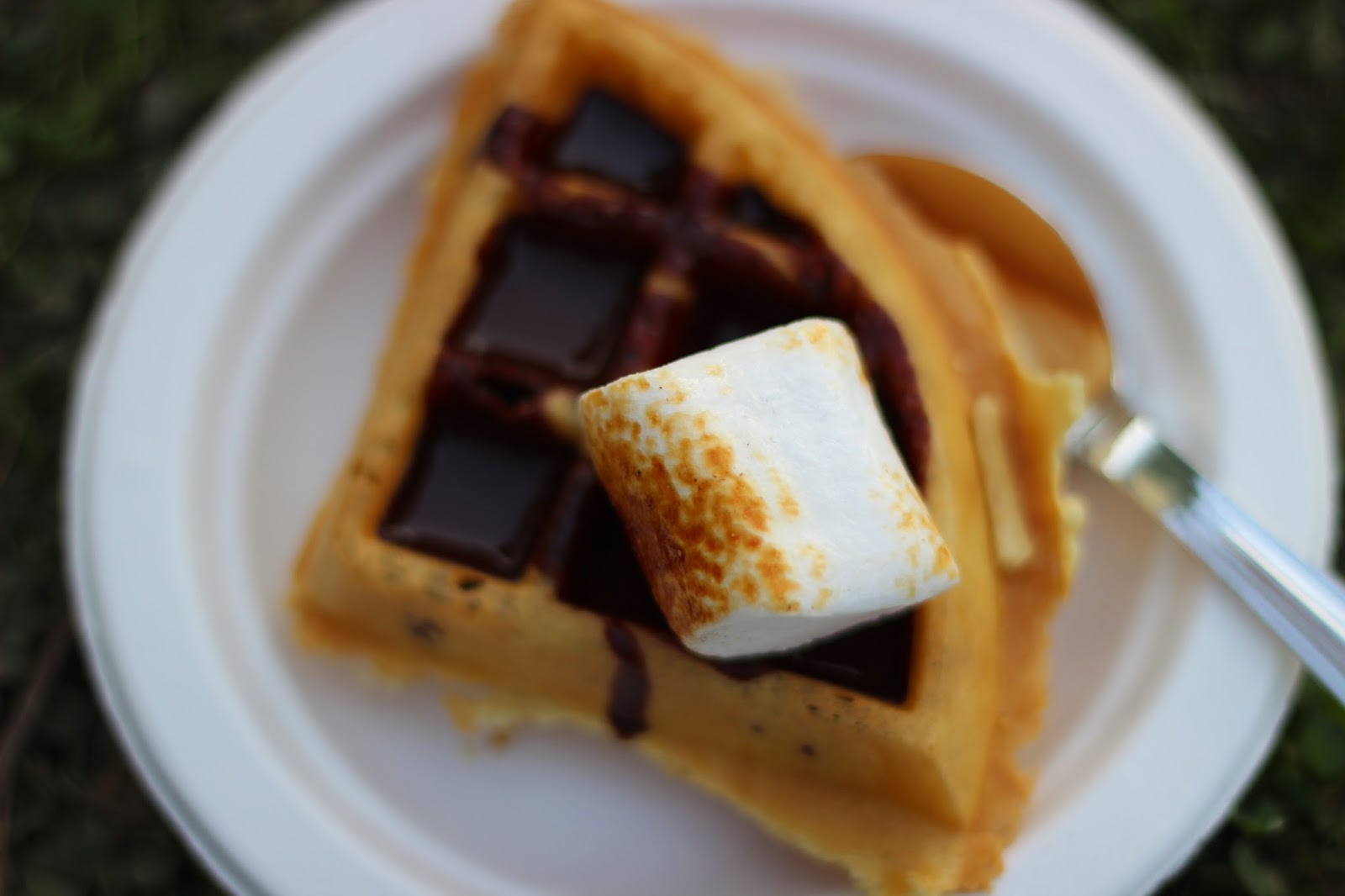 Palate Fest 2014 marsh mellows, Palate Fest 2014, food festival, waffles, drool