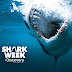 Discovery Shark - New Channel On Hotbird