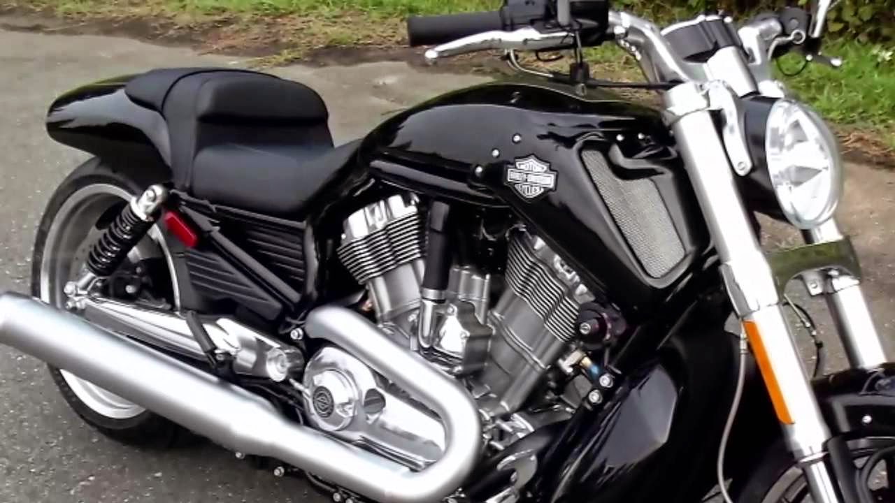 Harley Davidson V Rod Vs Night Rod Harley Davidson V Rod Vs Night Rod