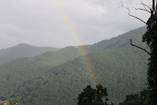 Rainbow after the rain!