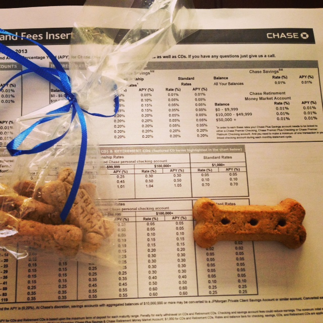 Are Dogs Allowed In Chase Bank