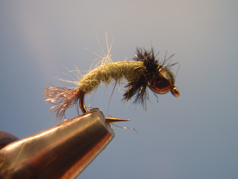 All Things Fly Fishing Featured Fly Caddis Larva
