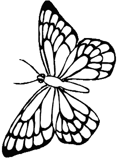 Butterfly Clip Art :: Line Drawing :: Outline