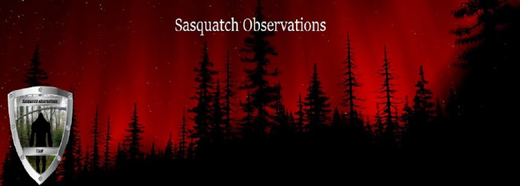 sasquatchobservations.blogspot.com