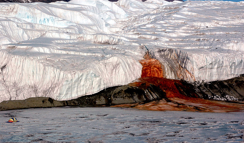 Si Merah dari Antartika Air Terjun Darah di Antartika